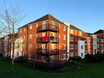 Picture 11
